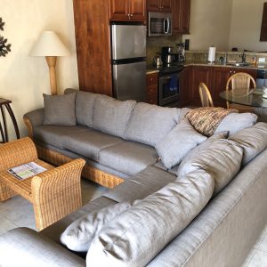 Spacious Living Area