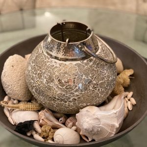 Dining Table Shell Collection